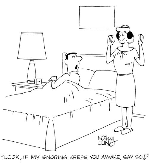 'Look, if my snoring keeps you awake, say so!'