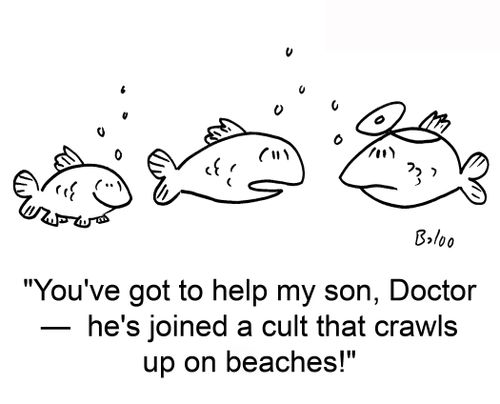 'You've got to help my son, Doctor — he's joined a cult that crawls up on beaches!'
