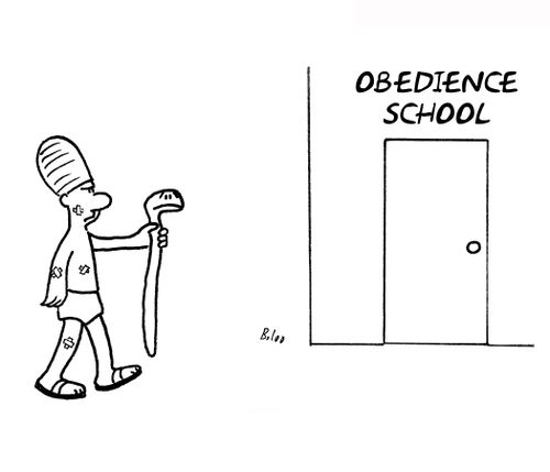 Obedience School.