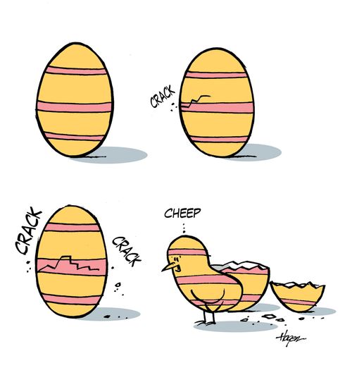 Chick hatches out of egg.