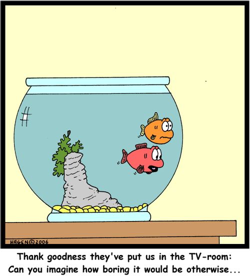 'Thank goodness they've put us in the TV-room: Can you imagine how boring it would be otherwise...'