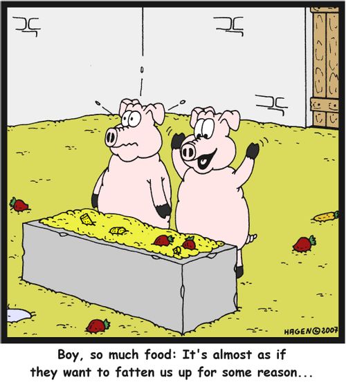 'Boy, so much food: It's almost as if they want to fatten us up for some reason...'