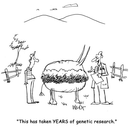 'This has taken YEARS of genetic research!'