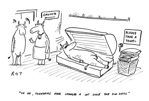 'Oh no, tanneries have changed a lot since the old days.' 