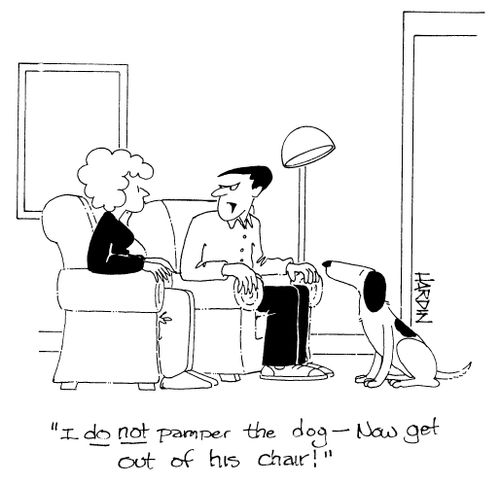 'I DO NOT pamper the dog - Now get out of his chair!'