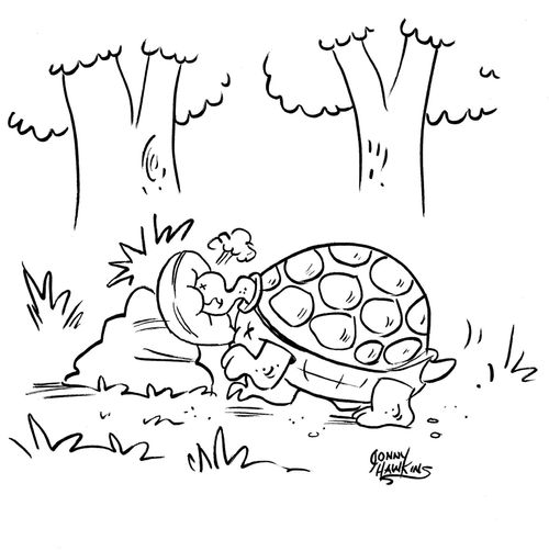 Turtle crashes, deploys airbag.