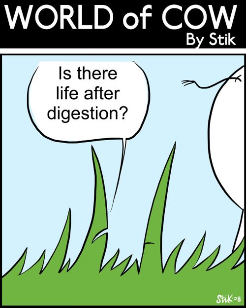 Is there life after digestion?