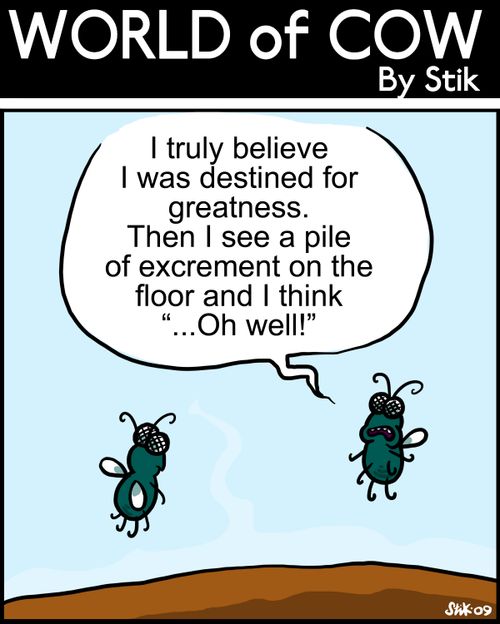 I truly believe I was destined for greatness. Then I see a pile of excrement on the floor and I think'...Oh well!'