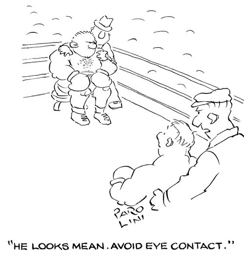 'He looks mean. Avoid eye contact.'