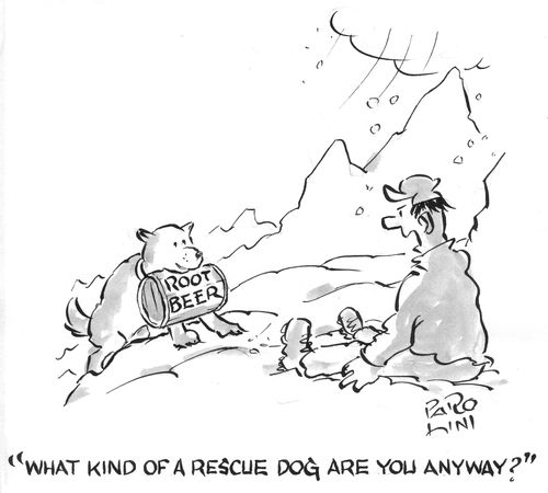 'What kind of a rescue dog are you anyway?'
