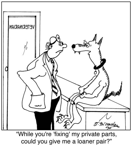 'While you're 'fixing' my private parts, could you give me a loaner pair?'