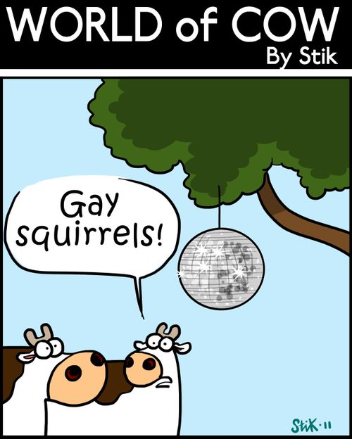 'Gay Squirrels!'