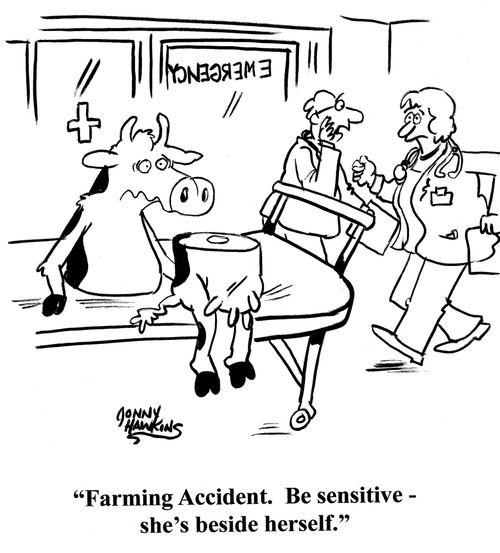 Emergency room doctor about half cow: 'Farming accident. Be sensitive - she's beside herself.'