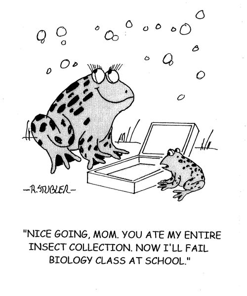 'Nice going, Mom.You ate my entire insect collection. Now I'll fail biology class at school.'