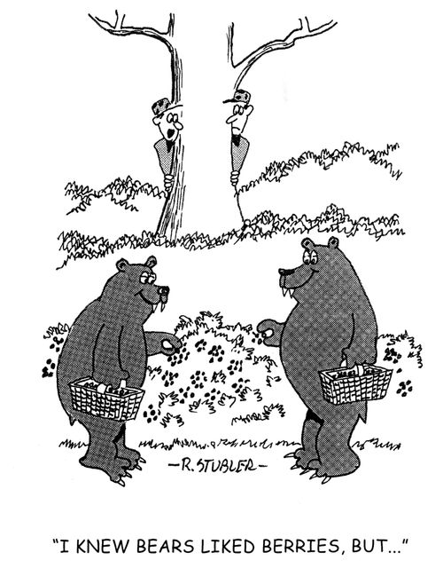'I knew bears liked berries, but...'