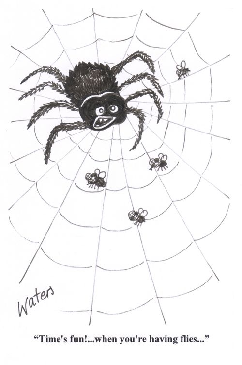 'Time's fun!....when you're having flies...'