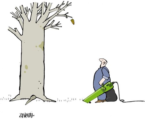 Man with leaf-blower looking at tree with single leaf.