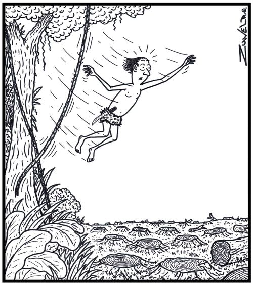 Jungle Man has found himself without a vine or forest to swing too due to logging.