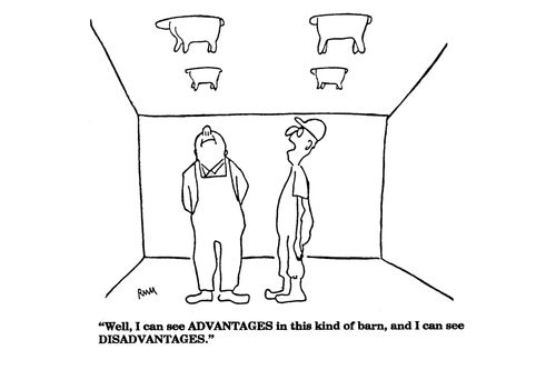 'Well, I can see ADVANTAGES in this kind of barn, and I can see DISADVANTAGES.'