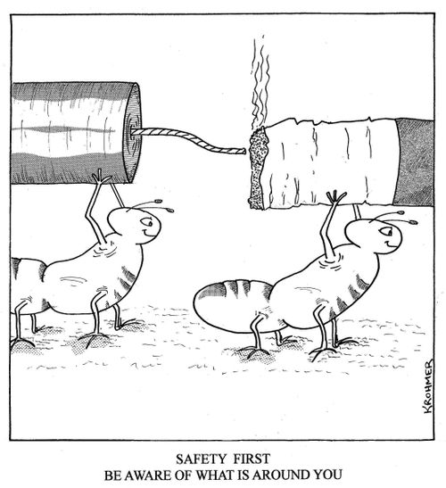 Safety first - be aware of what is around you.