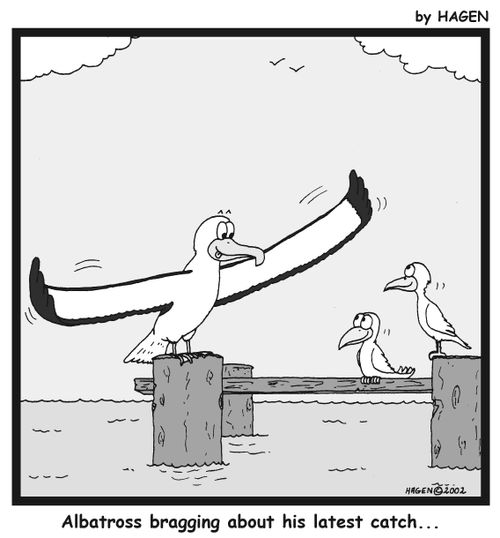 'Albatross bragging about his latest catch...'