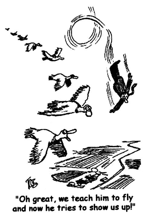 'Oh great, we teach him to fly and now he tries to show us up!'