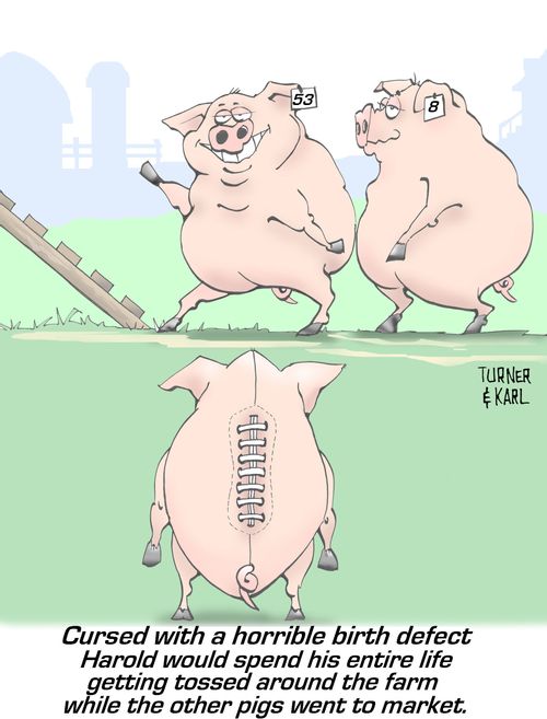 'Cursed with a horrible birth defect Harold would spend his entire life getting tossed around the farm while the other pigs went to market.'