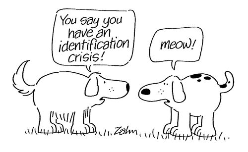"You say you have an identification crisis!"