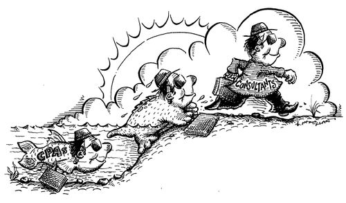 'CPA's' evolving into 'Consultants'