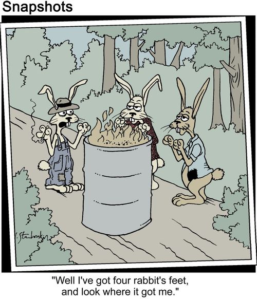 Homeless rabbit says, 'Well, I've got four rabbit's feet, and look where it got me.'