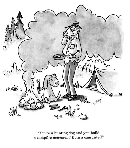 'You're a hunting dog and you build a campfire downwind from a campsite?!'