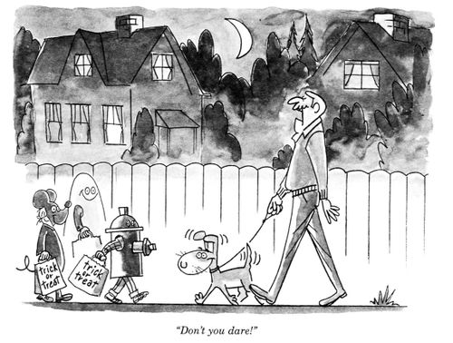 'Don't you dare!'
