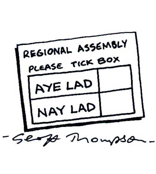 Regional Assembly - please tick box:  Aye lad / Nay Lad.