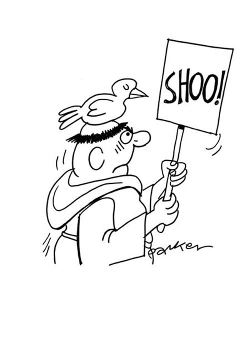 Shoo!
