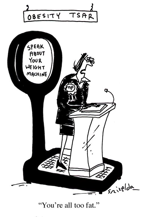 Obesity Tsar on a Speak About Your Weight machine: "You're all too fat."