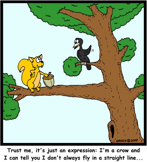 'Trust me, it's just an expression: I'm a crow and I can tell you I don't always fly in a straight line...'