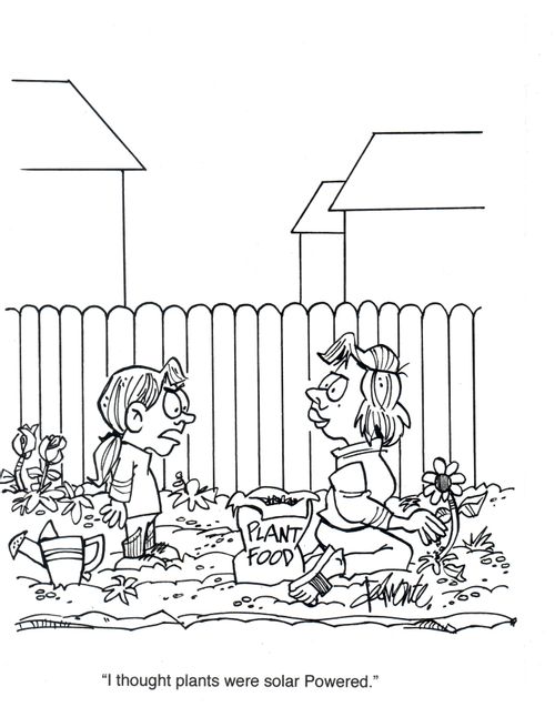 'I thought plants were solar powered.'