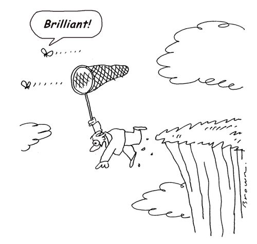 Butterfly leads collector over cliff.