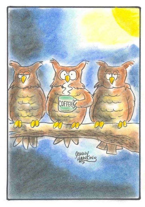 Wide eyed owl drinking coffee.