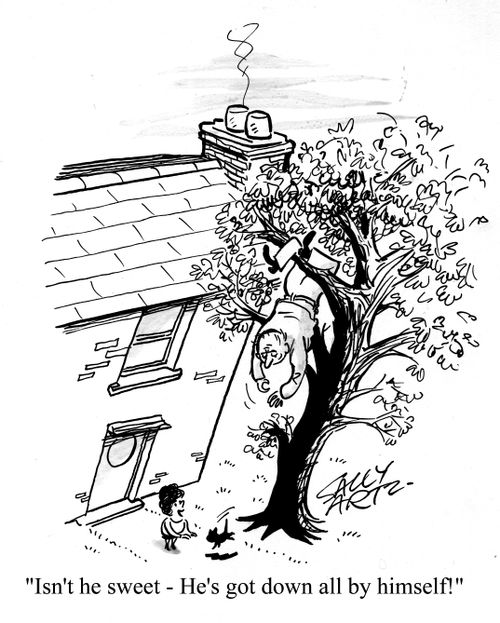 'Isn't he sweet - he got down all by himself!'