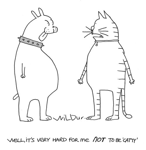 'Well, it's very hard for me not to be catty.'