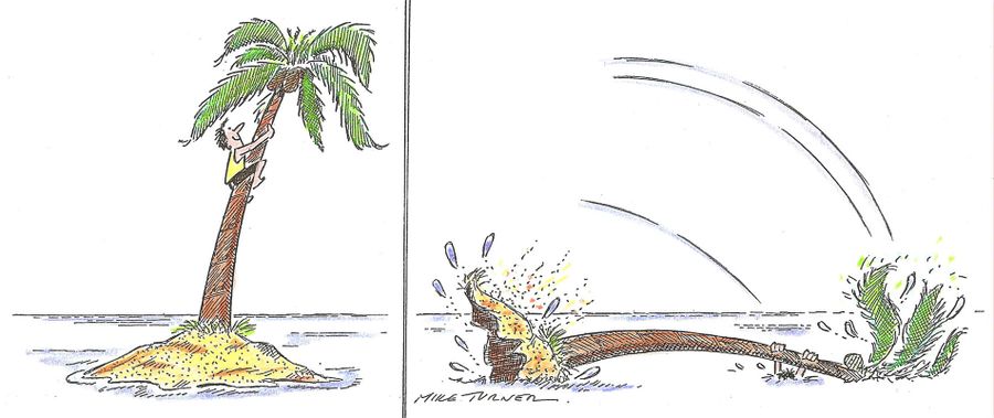 Coconut Quest