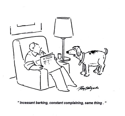 'Incessant barking, constant complaining, same thing.'