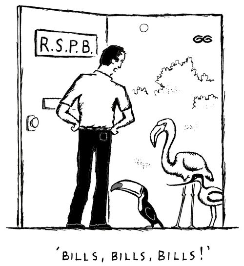 'Bills, Bills, Bills!'