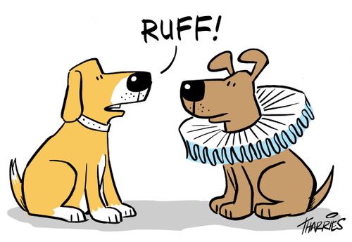 Dog says 'Ruff!' to another dog wearing a ruff (fabric ruffle).
