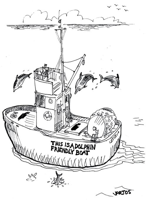 'This is a dolphin friendly boat.'