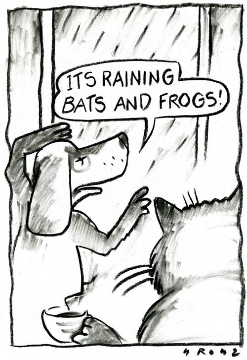 'It's raining bats and frogs!'