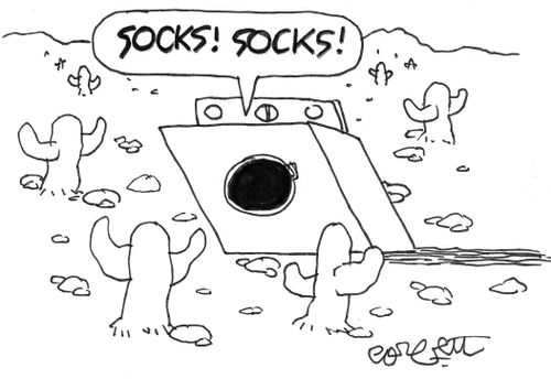 Dryer in desert: 'SOCKS!  SOCKS!'