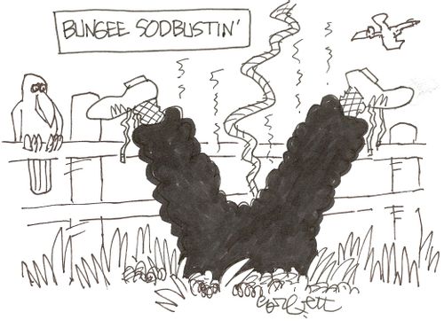 Bungee sodbustin'
