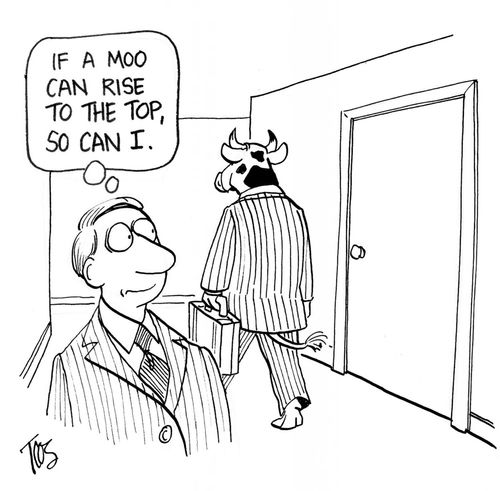 If a moo can rise to the top, so can I.
